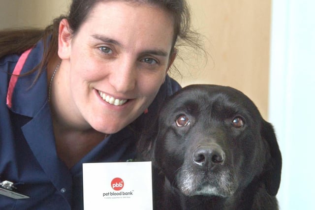 Going back 12 years for this photo which showed veterinary nurse Rachel Smith from Sunderland Vets4Pets who was publicising blood donor sessions. Does this bring back memories?