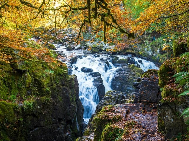 The Hermitage Forest in Perthshire, was used for scenes that will reportedly feature in episodes eleven and twelve of this season.