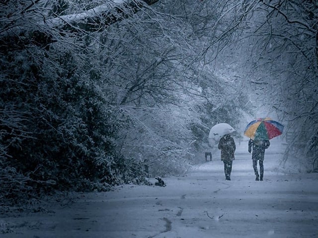 A winter walk. From That FOTO. (@That_Foto on Twitter).