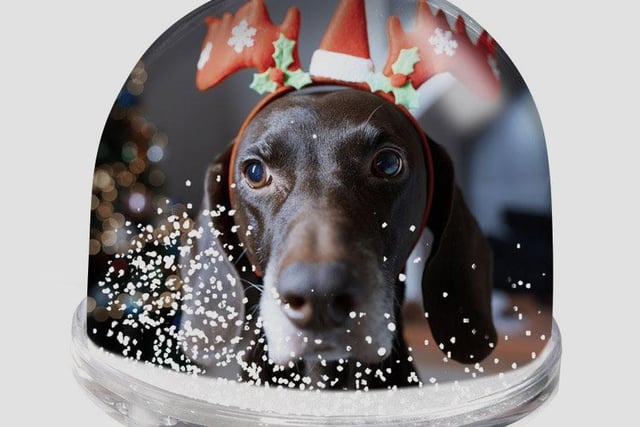 A gift that is perfectly festive and makes an ideal stocking filler. The Photo Snow Globe can be personalised with a photo and text of choice and comes complete with artificial snowflakes.