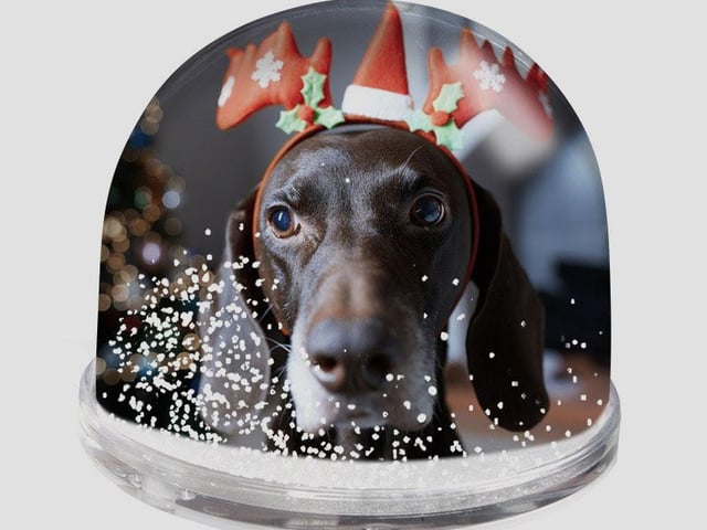 A gift that is perfectly festive and makes an ideal stocking filler. The Photo Snow Globe can be personalised with a photo and text of choice and comes complete with artificial snowflakes.
