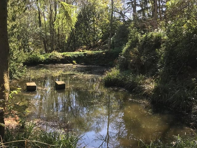 Former Japanese garden.