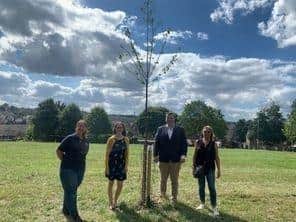 Councillor Adam Carter, ward councillor for Brinsworth said: “We are delighted to be launching an adopt a tree scheme in Brinsworth, which is a first for Rotherham.