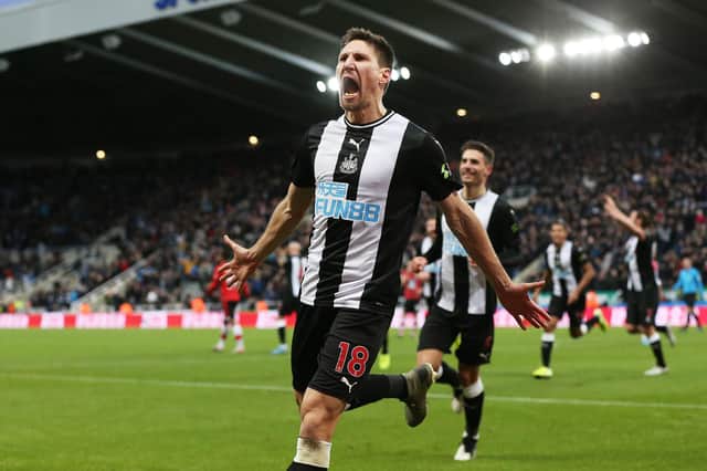 Federico Fernandez celebrates after a late goal during the Premier League match between Newcastle United and Southampton at St James Park.