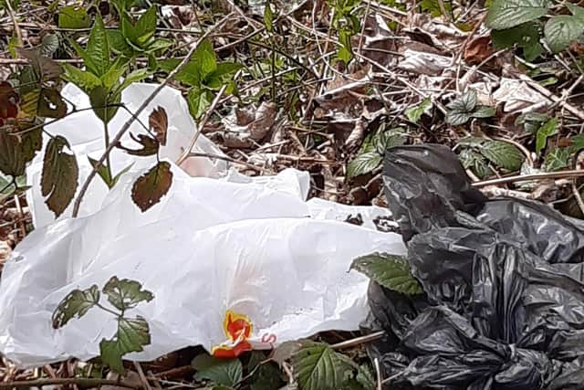 Full carrier bags can be spotted in the woods having been dumped.