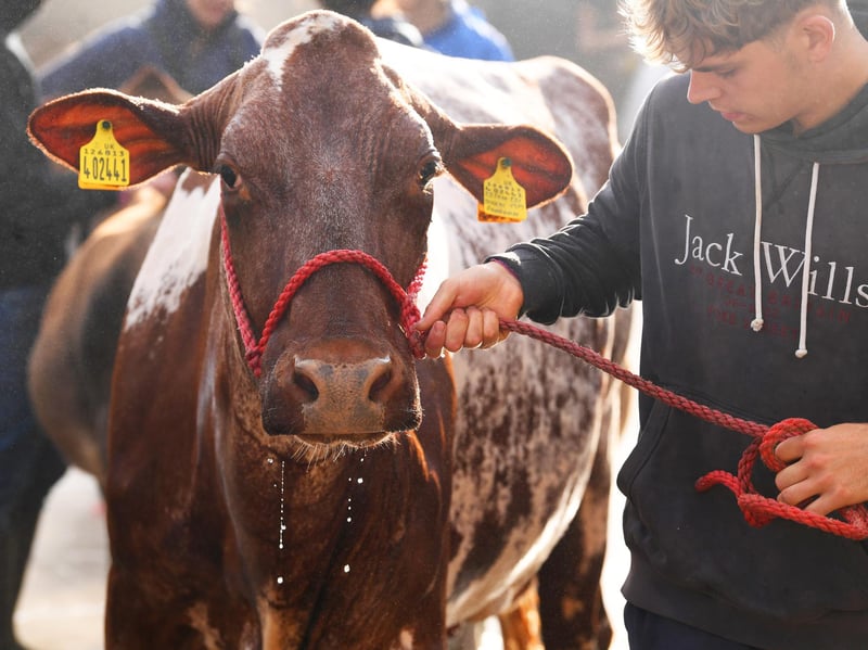 Thousands of visitors expected to descend on the showground for one of Yorkshire's biggest annual events.