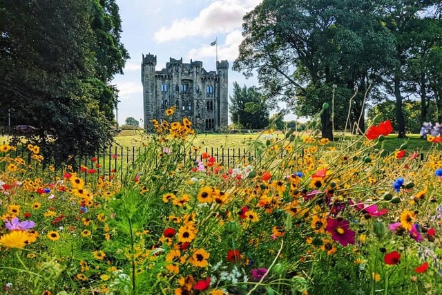 Wildflowers in full bloom at Hylton Castle in 2021.