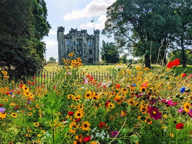 Wildflowers in full bloom at Hylton Castle in 2021.