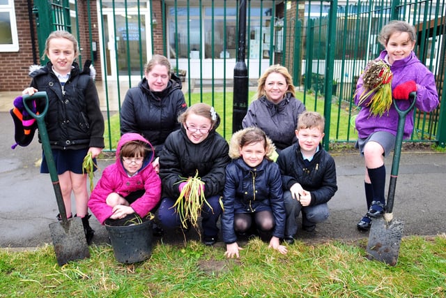 Greatham Primary School Eco Club members are pictured planting snowdrops outside the school. Who do you recognise?