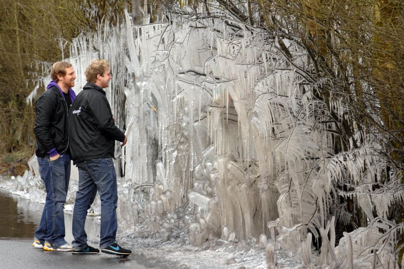 Icicles hanging from bushes formed by vehicles splashing through a flood in the freezing weather on the A57 Snake Pass in February  2010