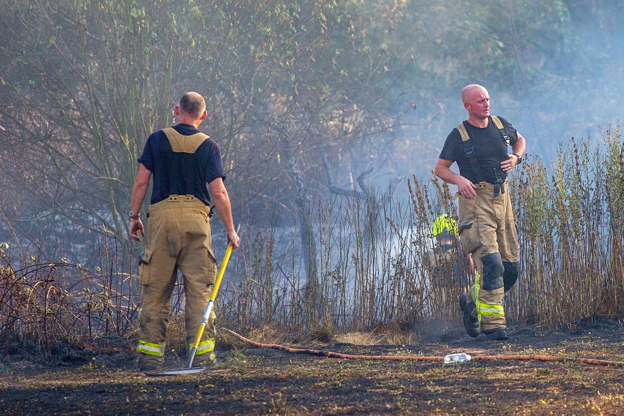 'Help clear up Manor Fields Park following devastating wildfire,' asks Sheffield group holding volunteer day