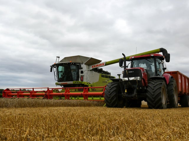 Wheat harvest at Wheatrig Farm, Longniddry.