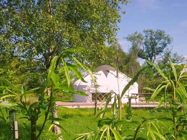 Built to the tradition Krygyk design, but fit for the Scottish climate, Trossachs Yurts offers three cosy glamping homes in the stunning setting of Ben Lomond. Located on the West Moss-side Organic Farm, you will feel a million miles from civilization, and can relax in uninterrupted countryside. Each yurt has a double bed, a wood burning oven and barbecue, and access to a communal kitchen, if needed. Available to book through Trossachs Yurts online.