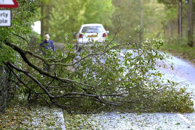 Sheffield at is the centre of Met Office warning –  with concerns over disruption from Storm Otto hitting the city tomorrow. Picture shows fallen trees on Limb Lane, Dore, in a previous storm