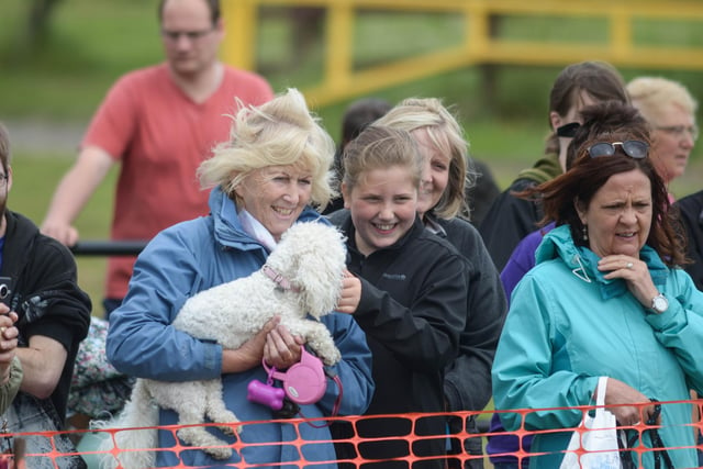 Blustery conditions did not put off these dog owners supporting the event in 2015.
