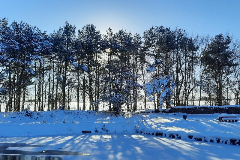 Long shadows across a snowy landscape (PIcture: Jean Bruce)