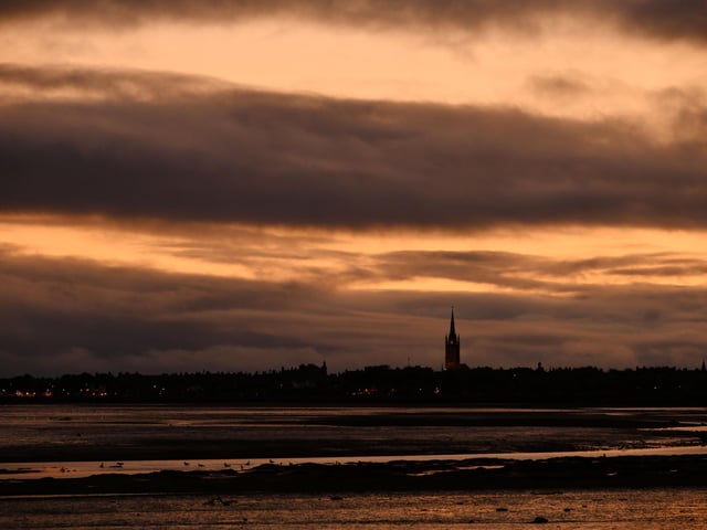 Pink-footed geese gather at Montrose Basin.