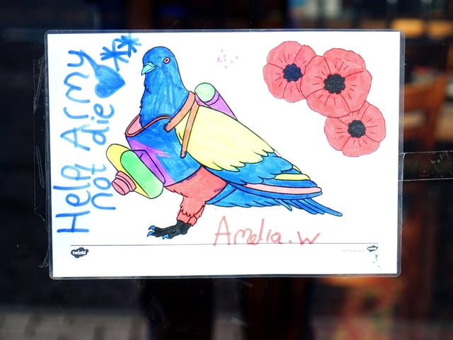 Amelia's efforts are displayed in the pub's window.