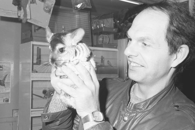 Pet shop owner Len Maidment with the one-day old chinchilla who was born in his shop to parent chinchillas George and Mildred.