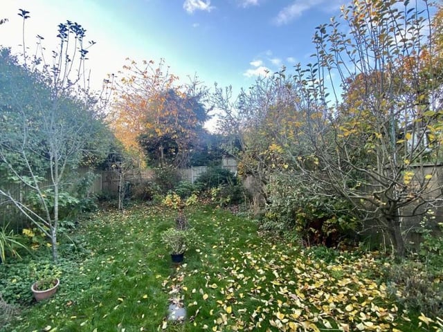 The autumn leaves are on the floor at the moment. But it's not hard to imagine some relaxing summer days in this garden.