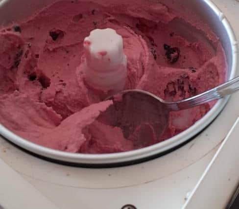 Alison Reid from Millhouses brought her beloved Gaggia Gelatiera ice cream maker to an event in March. It cost £300 in 2000 but hadn’t worked for eight years - until a volunteer spent 90 minutes on it.