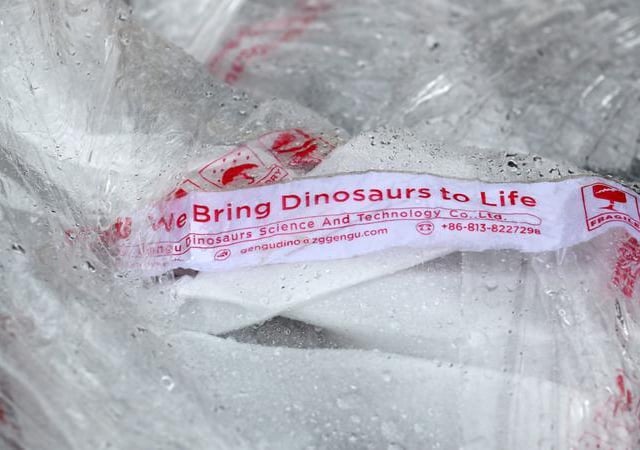 More than twenty life-size animated dinosaurs arrive at the Safari park