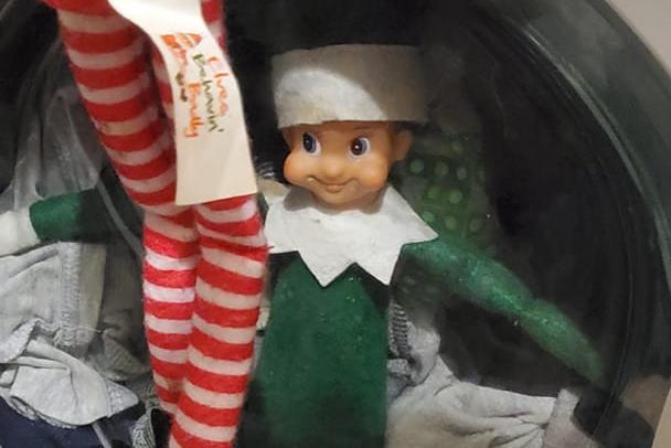 He's stuck in the washing machine. From Toni Copeland.