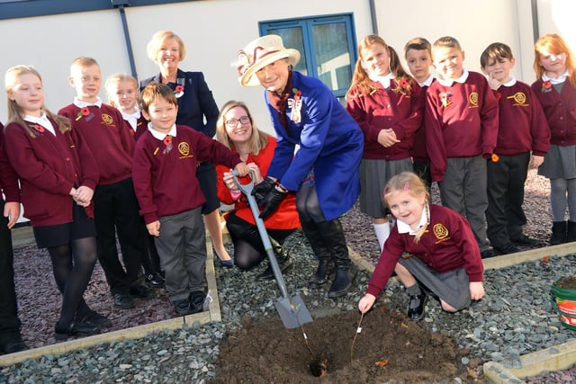The planting of a seedling from Her Majesty The Queen at the school 4 years ago. Does this bring back memories?