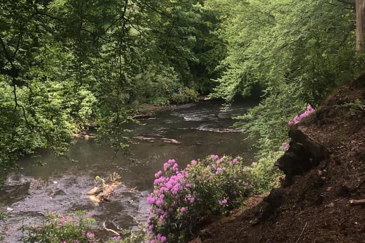 Dawsholme Park features woodland walks, parakeets, and beautiful views over the River Kelvin.