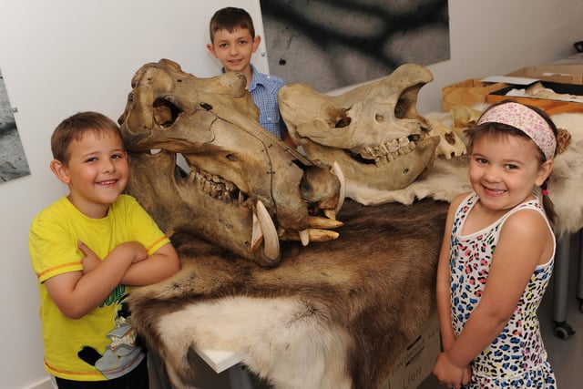 The new visitor centre had been open for one year in 2010.  To celebrate, the centre has held various activities and displays.
Picture: from left is Ben Huskinson, five, Jake Smyth, 10 and Bethany Huskinson, four, pictured with the skull of a hippopotamus and a rhino.