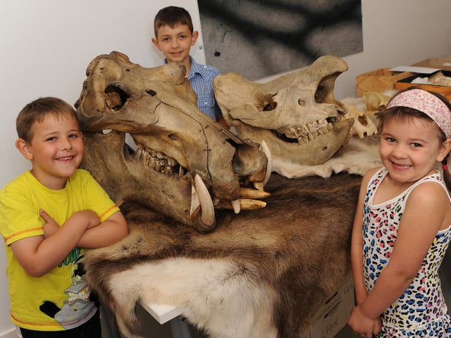 The new visitor centre had been open for one year in 2010.  To celebrate, the centre has held various activities and displays.
Picture: from left is Ben Huskinson, five, Jake Smyth, 10 and Bethany Huskinson, four, pictured with the skull of a hippopotamus and a rhino.