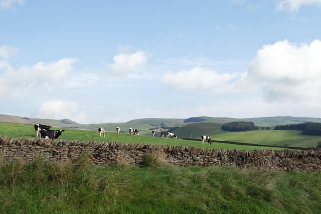 The land is made up of permanent pasture divided into grazing and mowing enclosures by a series of stone walls.