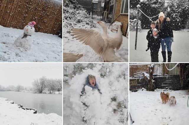 Take a look through these snow day photos that our readers have sent in.