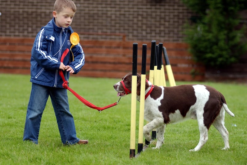 Here's a view of the Ashley Primary School dog show in 2005. Do you recognise the dog and owner trying out the agility course?
