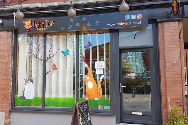Sheffield's first cat cafe, their aim is to "provide a relaxing and calming environment for both customers and cats to enjoy each other's company".