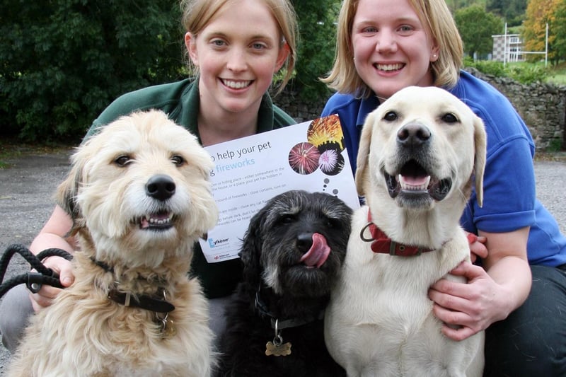 Vets Emma Drabble and Abi Burns of the Peak Veterinary Practice in Starkholmes and their dogs Scooby, Rosie and Maggie highlighted the importance of keeping pets safe from fireworks in 2010.