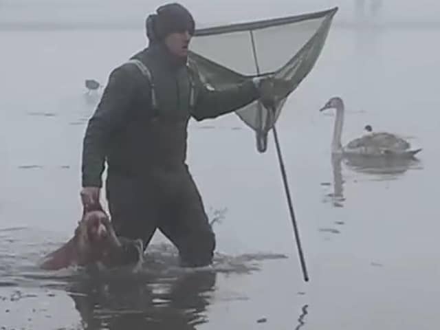 Sheffield lifeguard Jason Biggin strode into the icy water to rescue a dog at Bushy Park, near Twickenham in London. PIcture: Claudia Syrad