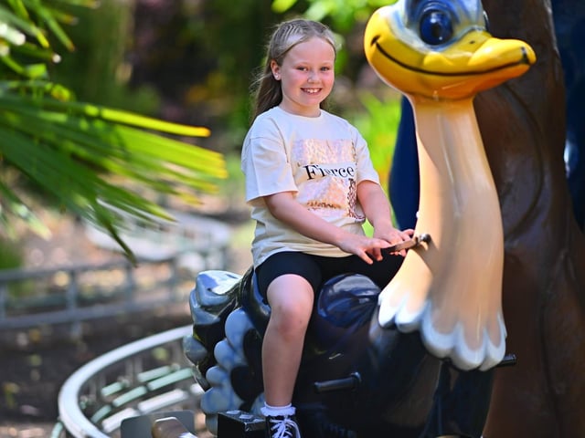 WILD Ostrich Safari Ride at Sundown Adventureland
