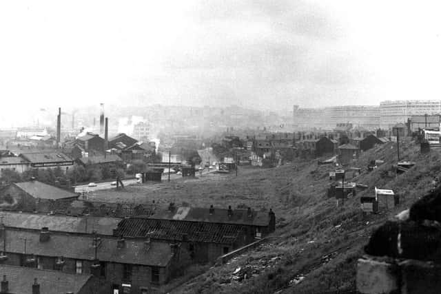 The pigeon lofts long before Penistone Road was developed into the major road it is today