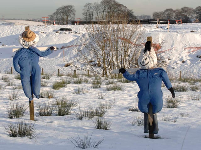 Winter scarecrows near Lenzie, January 5, 2010.