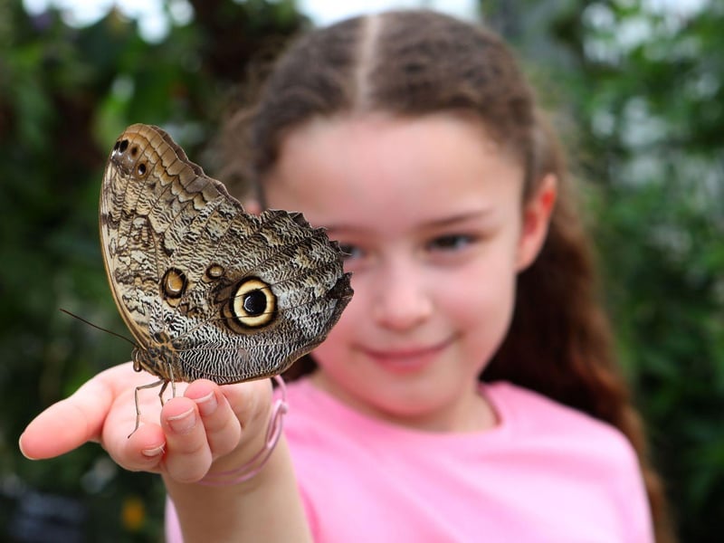 Celebrate Love Your Zoo Week this half-term at Tropical World! As part of BIAZA’s Love Your Zoo week, come and meet our Sulcata Tortoises for a fabulous family outing. The zoo has lots on offer: Tank’s Tortoise Trail, Keeper Talks, Children’s Craft Activities, and the Tropical World Café for the older ones to take a rest at. 📍 Tropical World, Roundhay Park, Princes Ave, Roundhay, Leeds LS8 1DF