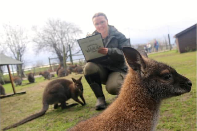 Animals at Doncaster's Yorkshire Wildlife Park have been weighed and measured.