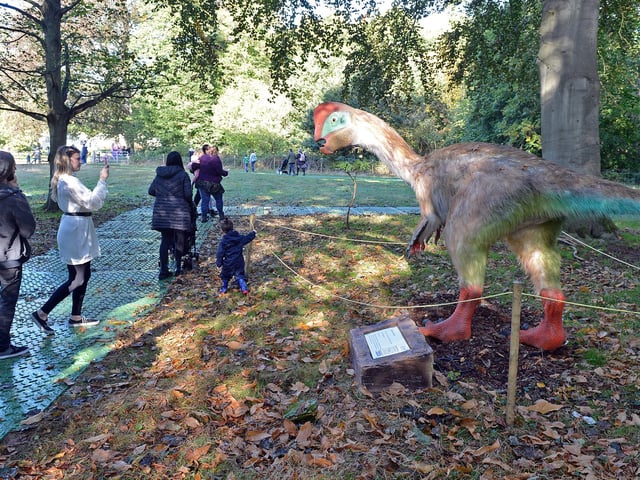 Many dinosaurs are believed to have feathers