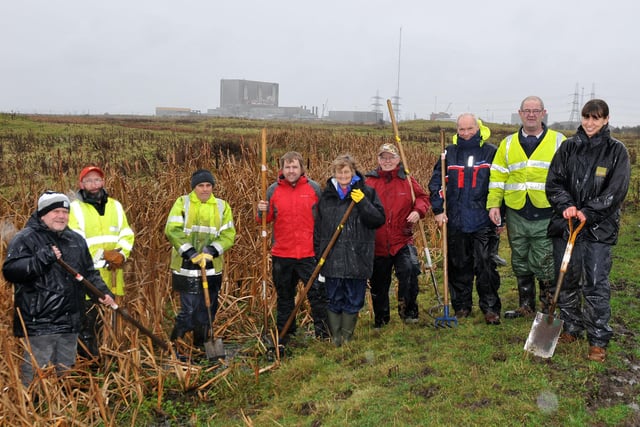 These volunteers were doing sterling work in the countryside. Jo Collins (right) from friends of Teesmouth, Seaton Dunes and Common can be seen with fellow members and volunteers as they set about removing rushes from a watercourse. Remember this from 2012?