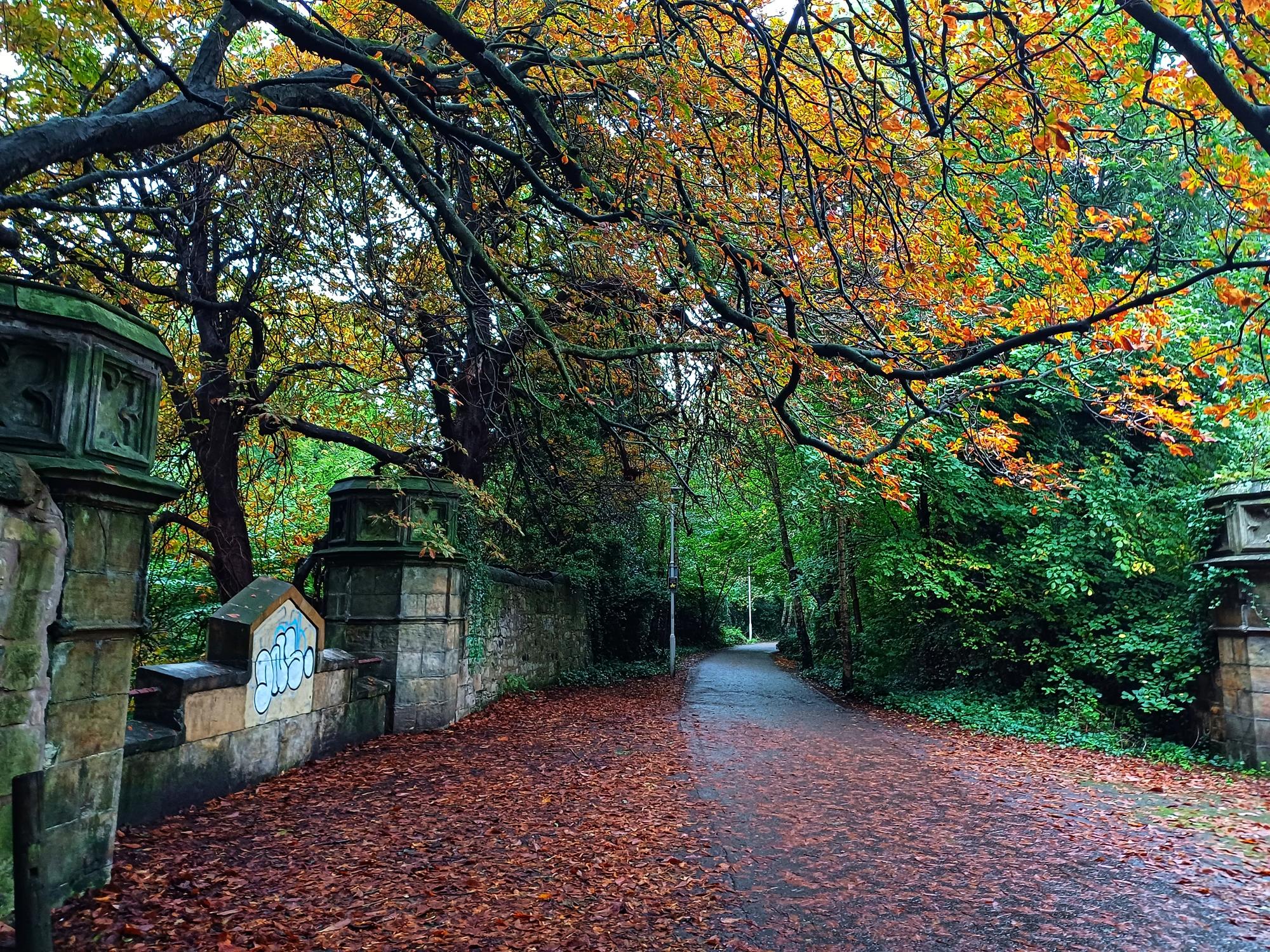 Edinburgh Autumn: 8 things to do in Edinburgh this autumn