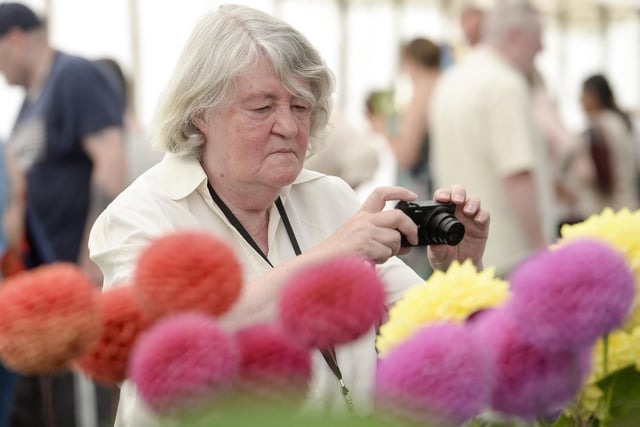 Sheffield Fayre at Norfolk Heritage Park in 2019. Keen garden lovers take pictures of the blooms on display