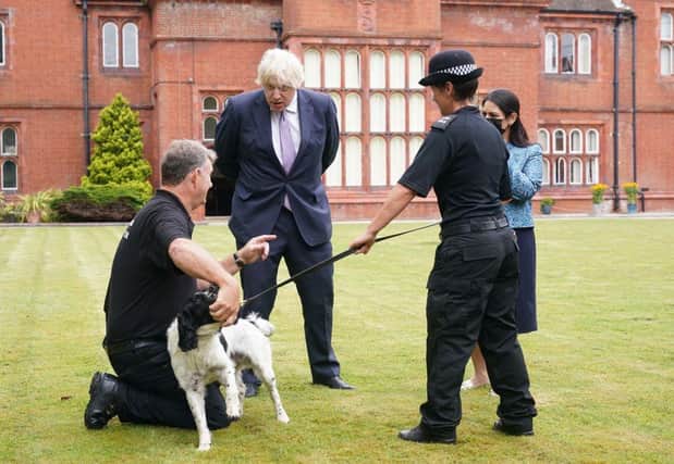 Britain's Prime Minister Boris Johnson (2L) and Britain's Home Secretary Priti Patel (R) meet a police dog handler during a visit to Surrey Police headquarters in Guildford, south west of London, on July 27, 2021 to coincide with the publication of the government's plans to tackle crime. (Photo by Yui Mok / POOL / AFP) (Photo by YUI MOK/POOL/AFP via Getty Images)