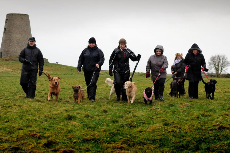 Dog walkers on the Cleadon Hills in 2015. Do you recognise them?