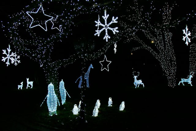 Festive Lights at Broadacres, Hatfield.