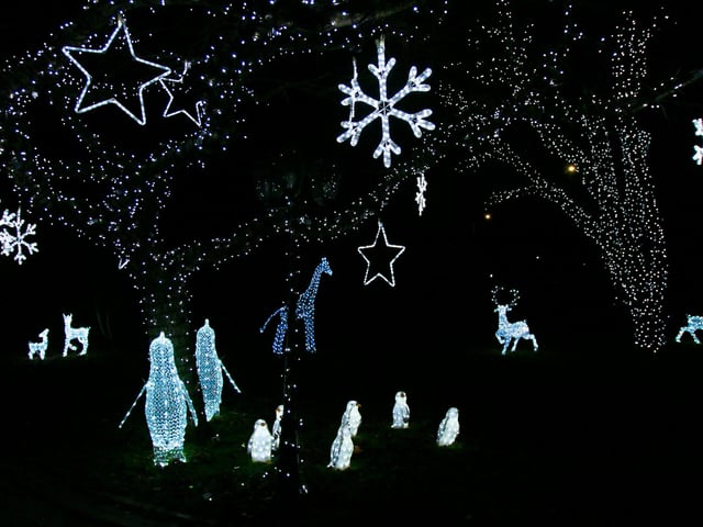 Festive Lights at Broadacres, Hatfield.